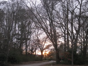 Winter's end in Aurora 034