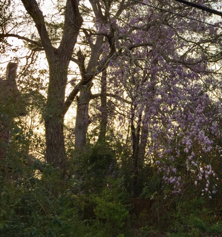 0CA19407-071B-4560-A980-26FDFB677FE8